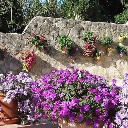 Floresmar * Calpe